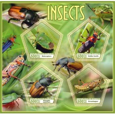 Fauna Insects